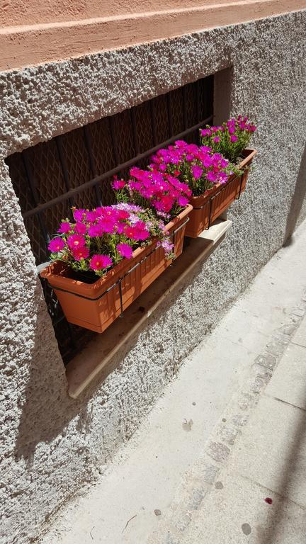 Al Sale Bed and Breakfast Κάλιαρι Εξωτερικό φωτογραφία
