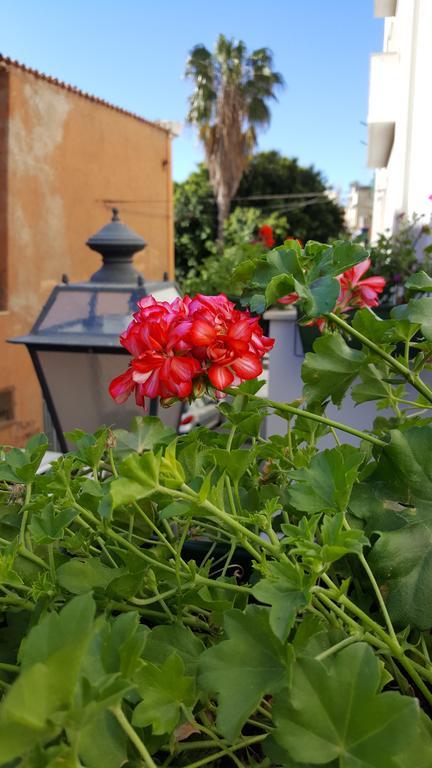 Al Sale Bed and Breakfast Κάλιαρι Εξωτερικό φωτογραφία